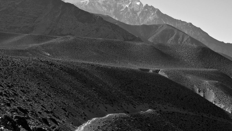 why it will become a choice to convert your criminal law firm to a paperless practice