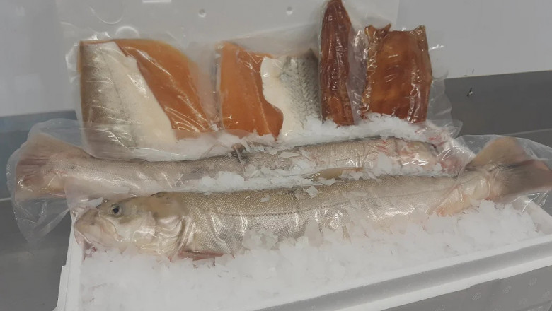 3 Ways to Cook the Best Smoked Fish Fillets