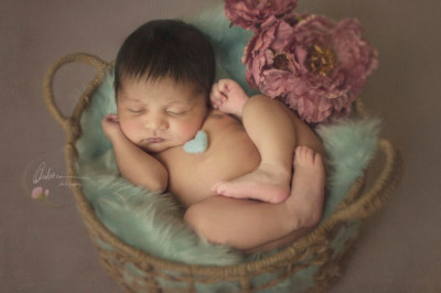 A Beginner's Guide to Choosing Newborn Baby Photographers in Bangalore By Ambica Photography