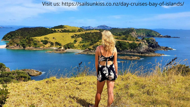 Bay of Islands Lunch Cruises Online from Sail Sunkiss