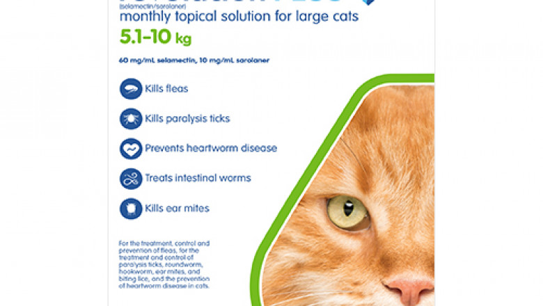 Buy Revolution Plus For Large Cats 5 - 10kg Green