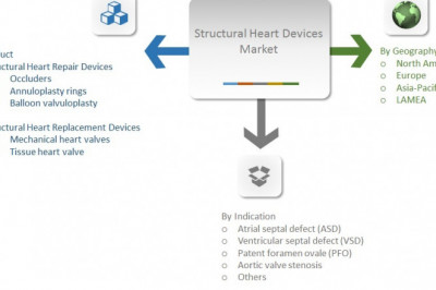 Structural Heart Devices Market is Expected to Reach $12,076 Million by 2022