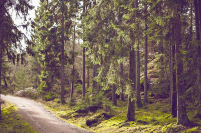 what hollywood can teach us about how to get into wholesale real estate
