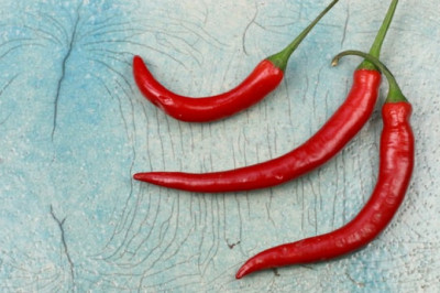 How to grow hot peppers in an open field?