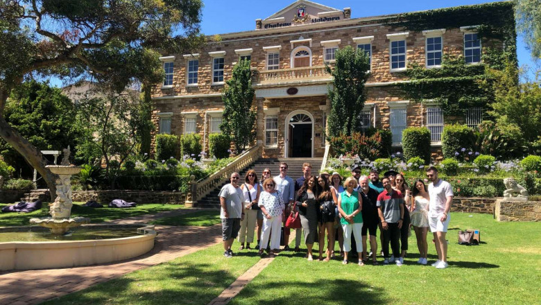 Wine Tasting Tours