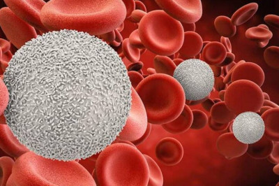 Blood Cancer – types, Diagnosis and Treatment