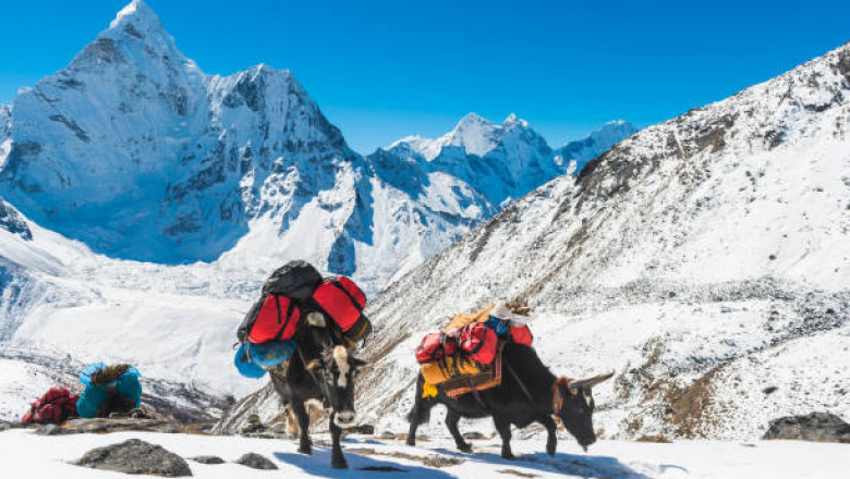 Everest Base Camp Trek 15 Days: Hike To Highest Peak Base Camp