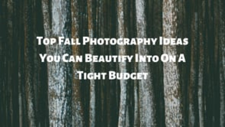 Top Fall Photography Ideas You Can Beautify Into On A Tight Budget