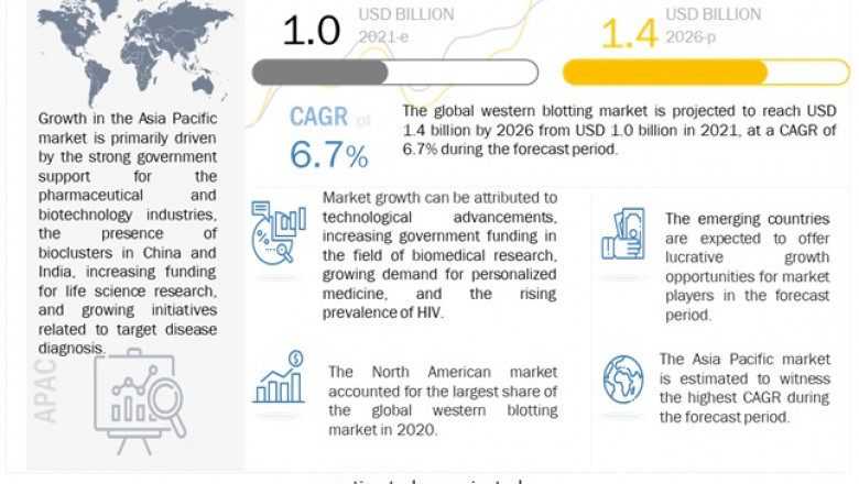 Western Blotting Market