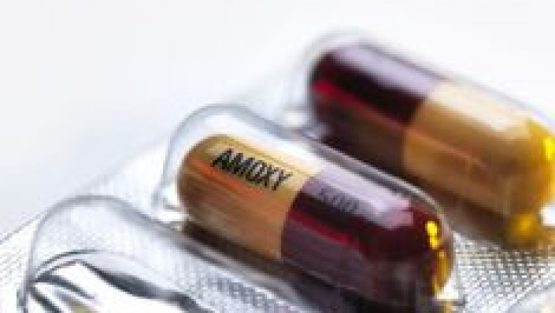 What is Amoxicillin?