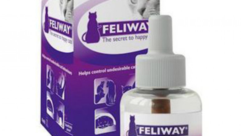 Buy Feliway Refill Only | Free Shipping | DiscountPetCare