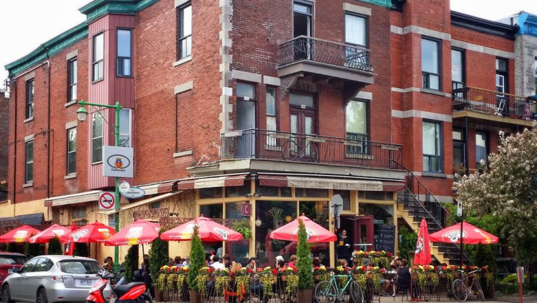 20 best tweets of all time about donkey milk skin care