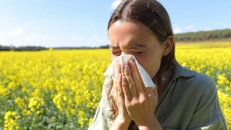 Hay fever