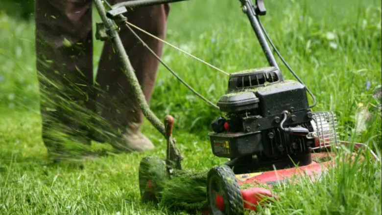 Why You Need Monthly Lawn Care Service