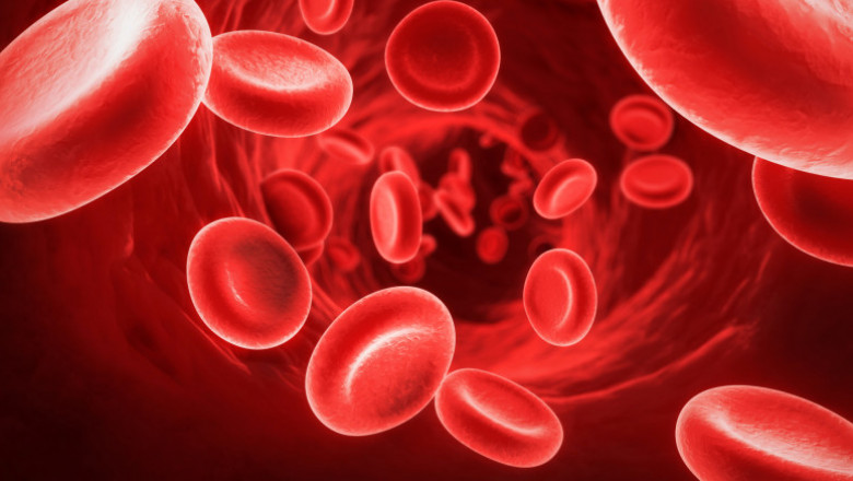 Blood Cleansing Medicine - Best Herbal Medicine For Blood Cleansing