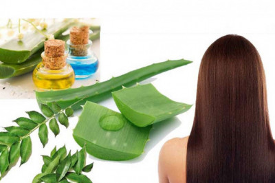 Herbal Hair Treatment - Best Herbal Medicine For Hair Treatment