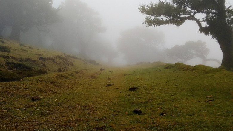 pariss littleknown places that tourists dont see