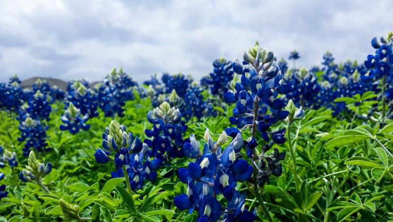 replacement windows for your home windows london ontario