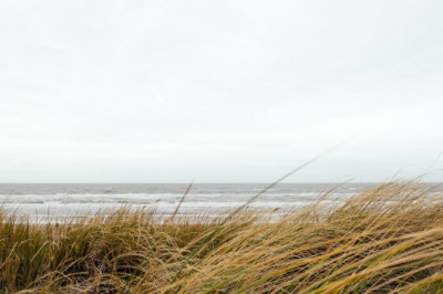 tv mobel fur ein extravagantes wohnzimmer