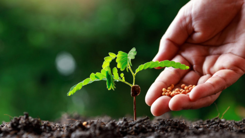 Chelated-Iron Agricultural Micronutrient Market Takeways