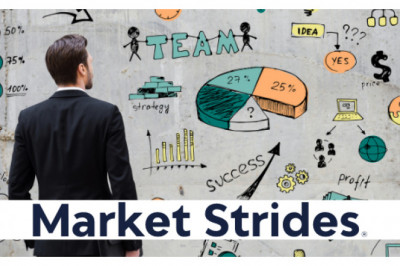 Coronary Drug-Eluting Stent Market Insights Report 2022, Trends & Opportunities to 2030
