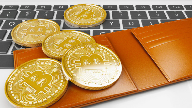 Explain What is a Blockchain Wallet Is and How It Work?