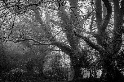 por que deberia contratar a un cerrajero profesional