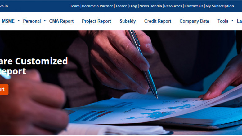 Project Report for Business Loan