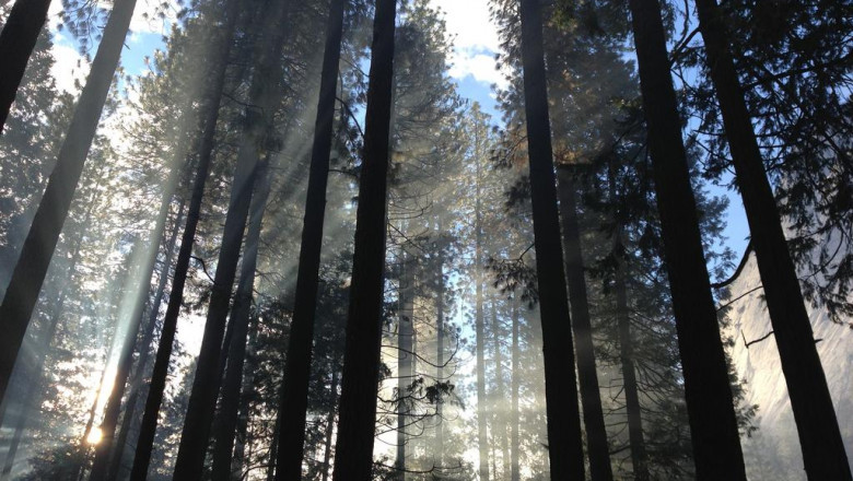 was macht ein immobilienmakler schlusselrollen und pflichten