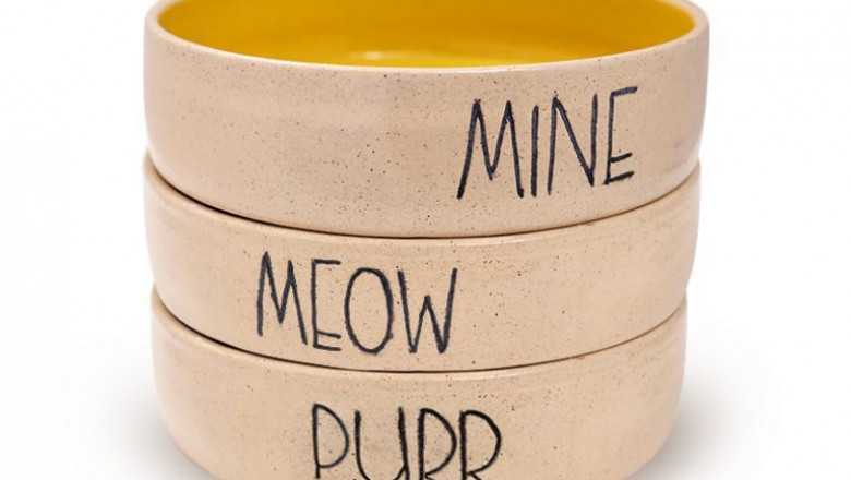 Buy Cat bowls: Where can I Buy Cat bowls online in India?