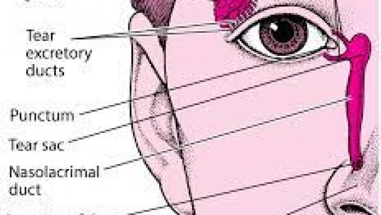 Dacryocystitis Treatment Market 2022 Major Key Players and Industry Analysis Till 2028