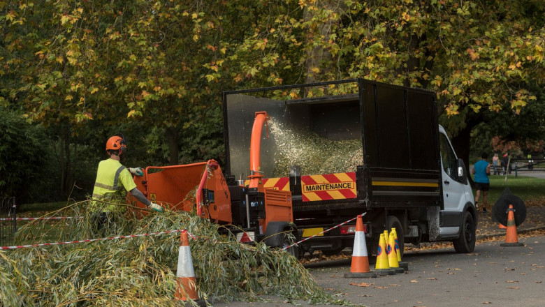 Tree Surgeons in Hertfordshire, North London