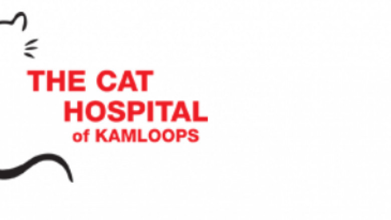 What Factors Help Your Choice of a Good Veterinarian?