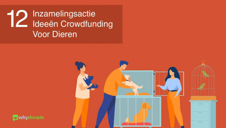 Beste Crowdfunding Ideeën voor Dieren Asielen