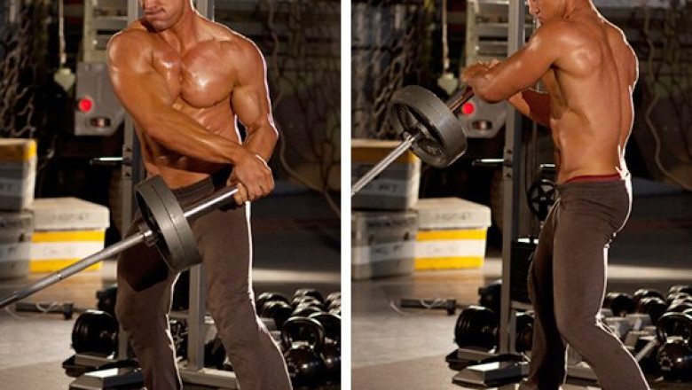 Bodybuilding Training