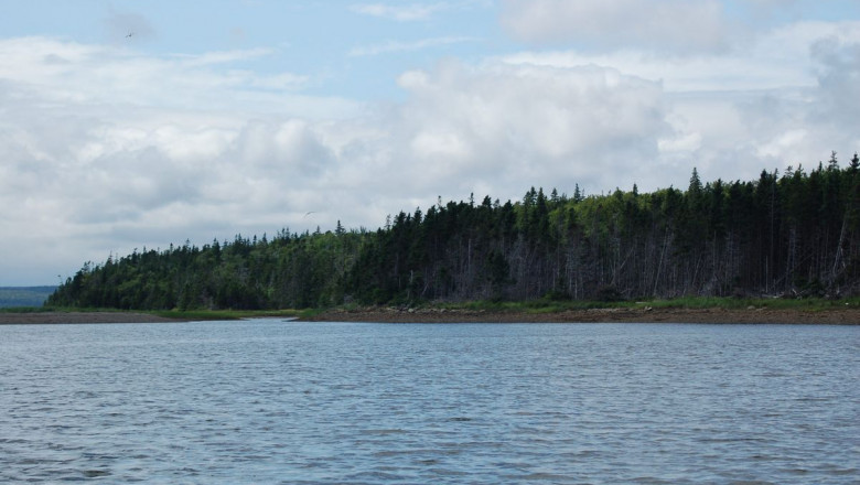 Helping The others Realize The Advantages Of Islands for Sale