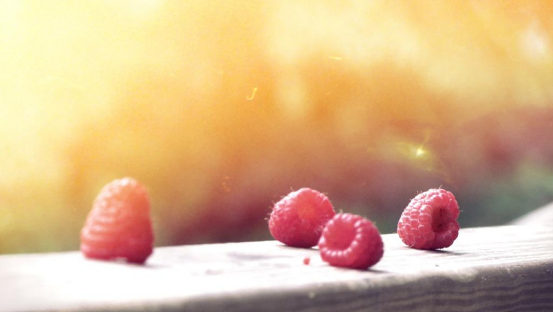 sea legs imitation crab legs 2 5 lb distribution or pickup near me