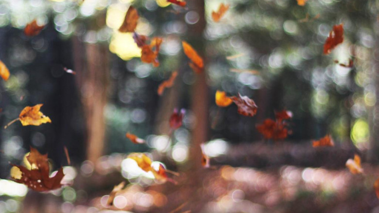 skin rejuvenation wrinkles reduction fine lines pores spots lash lift