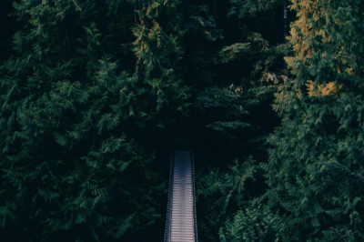 cerraduras digitales frente a las convencionales