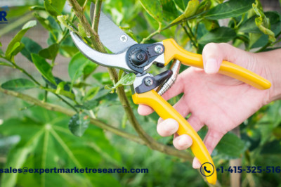 Global Network Security Firewall Market to be Driven by the Increasing Trend of Digitalisation in the Forecast Period of 2022-2027