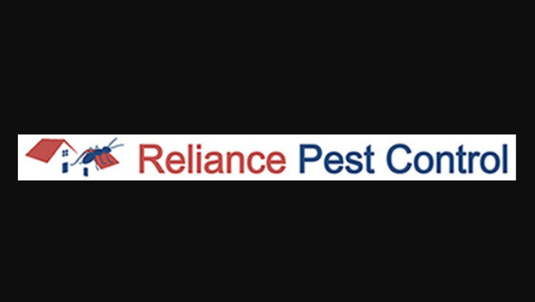 Suggestions to Choose the ideal Pest Control Services
