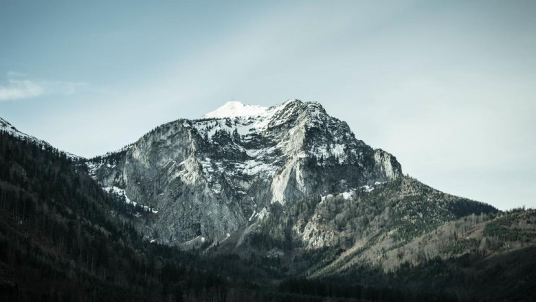 when to be able to hire b2b sales for technology startups