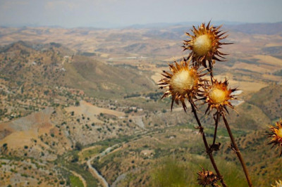 the no 1 question everyone working in women clothing should know how to answer