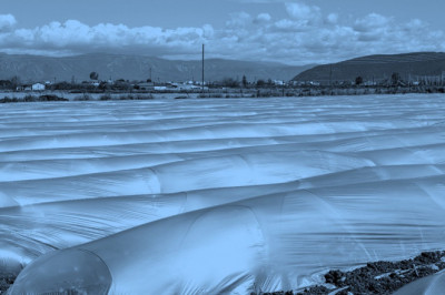 Agricultural Films Market Size In 2022 and Growth Insights to 2027 | Bis Research