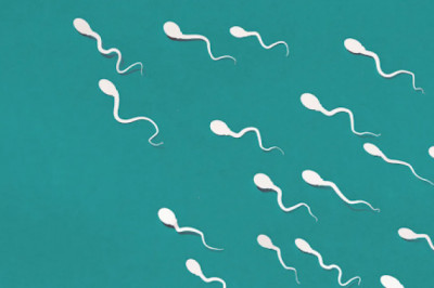 ICSI Treatment – Everything You Should Know About It