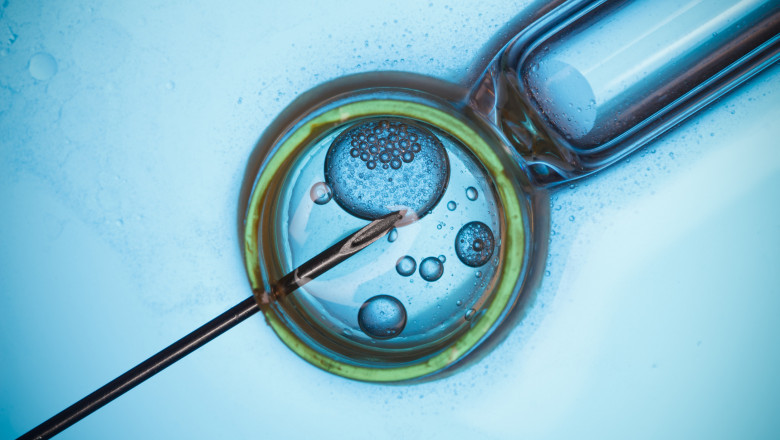 In-vitro Fertilization Devices Market Opportunities