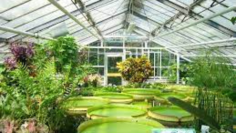 Smart Greenhouse Market Size, Status, Growth | Industry Analysis Report 2020-2028