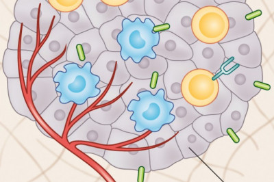 Tumor Infiltrating Lymphocytes Industry Insights, Trends, and Forecasts to 2027