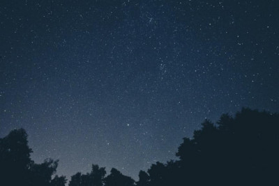 why is everyone talking about thedailyhodl news website