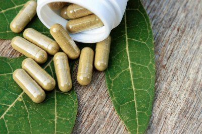 DPPH and MDA - Ynani Medicine Effect Of Peppermint?